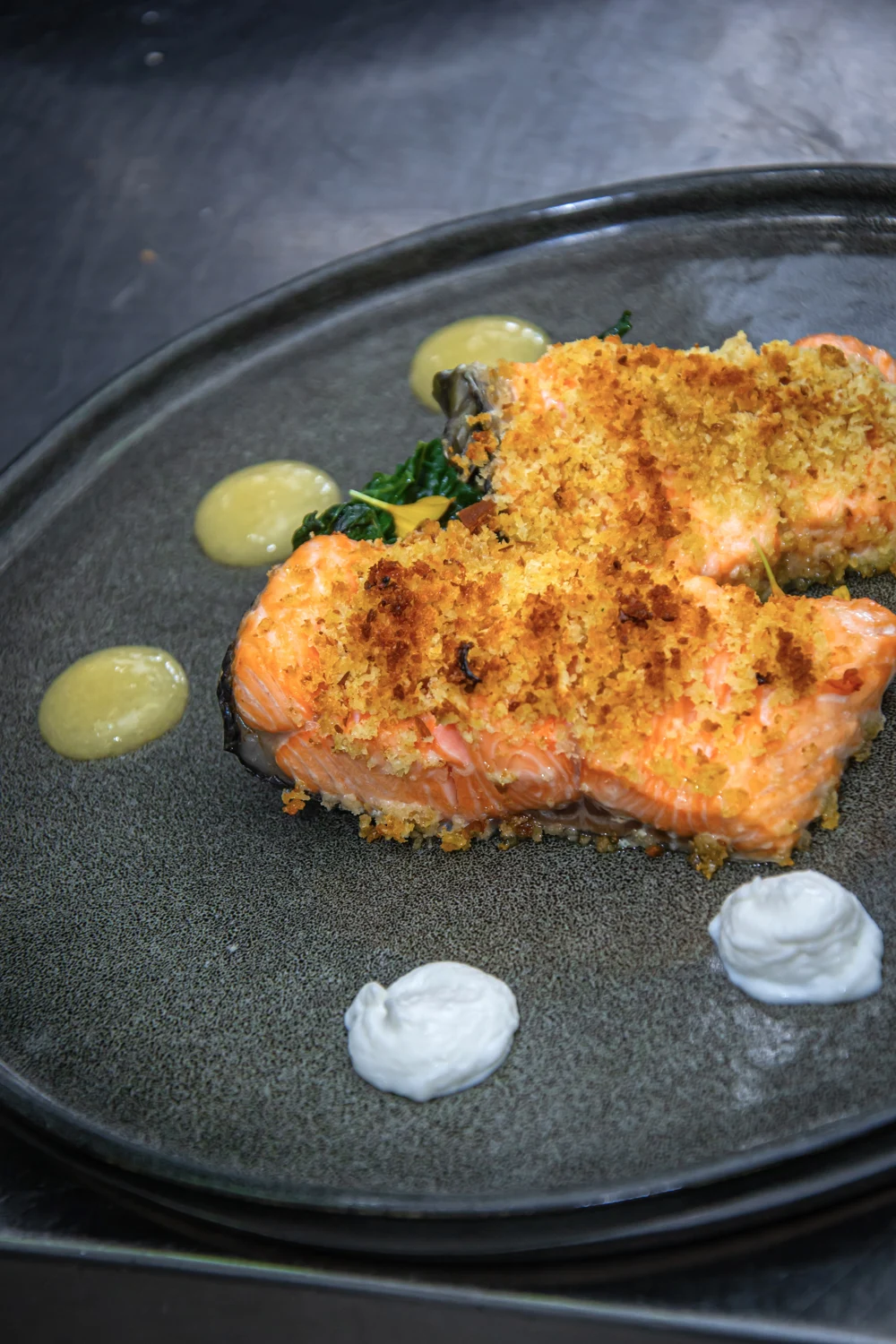 Salmone con panatura al limone, verdure saltate Mousse di caprino e coulis di pere e zenzero