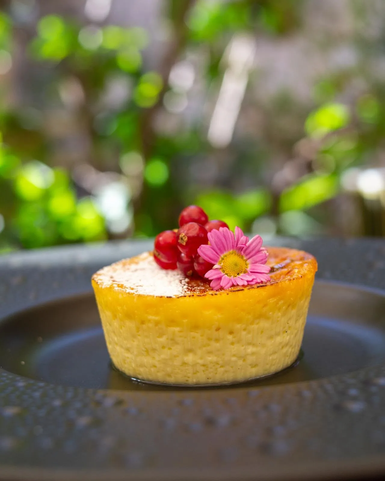 Crème brûlée con ribes