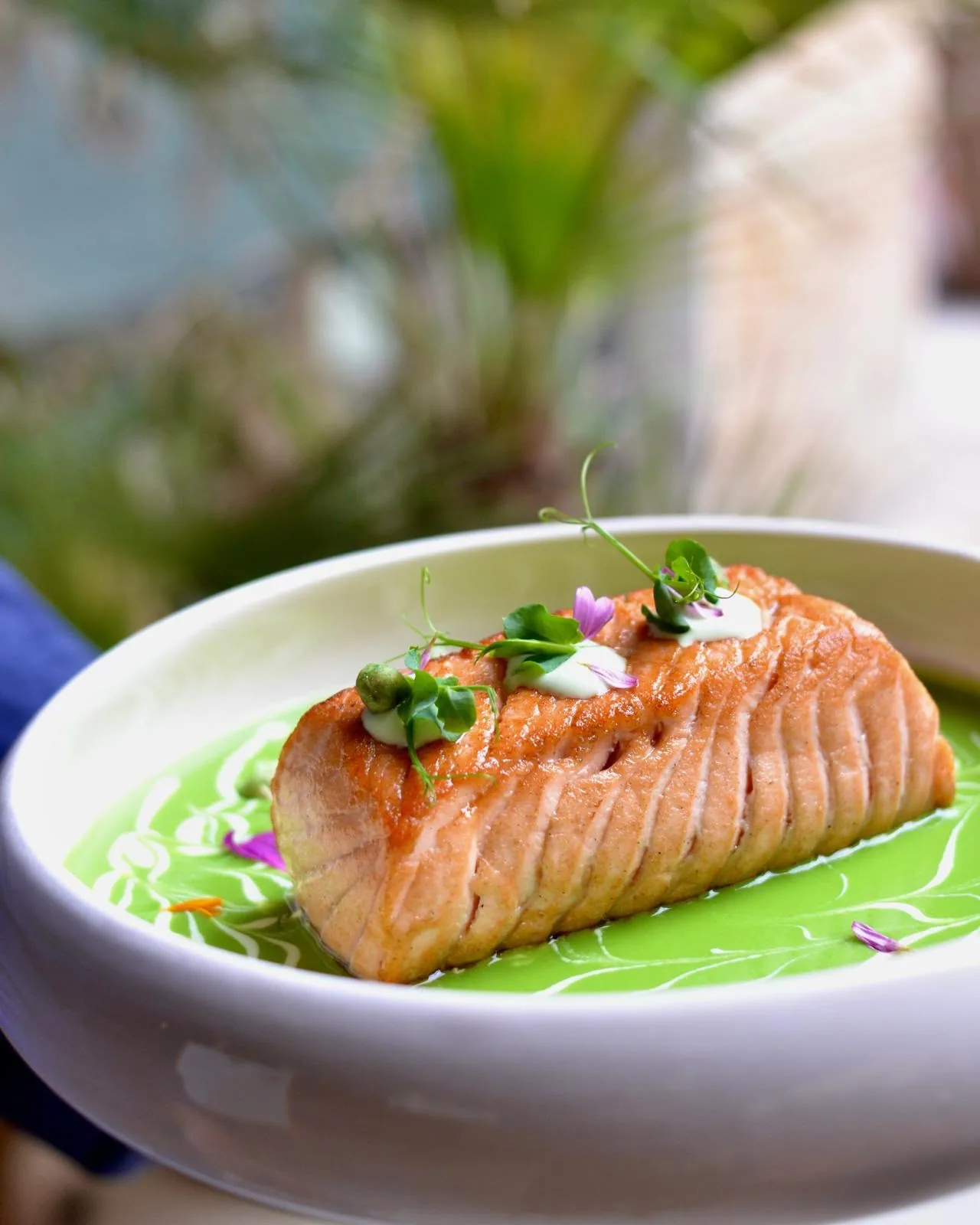 Salmone su crema di piselli